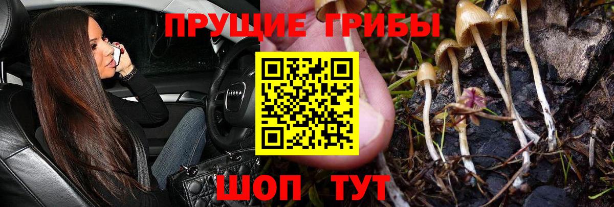 Псилоцибиновые грибы Magic Shrooms  Псилоцибиновые грибы Psilocybe  Выборг 