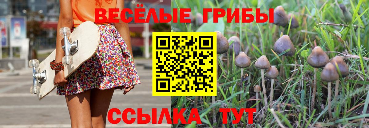 Галлюциногенные грибы Cubensis Выборг
