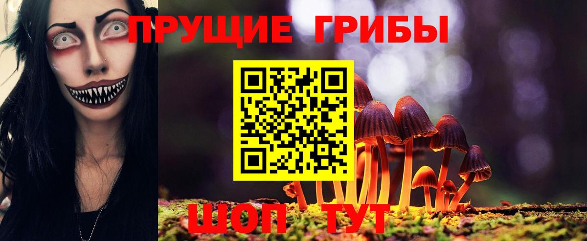Псилоцибиновые грибы мухоморы  купить наркоту  Выборг  Галлюциногенные грибы мухоморы  Вход с VPN 