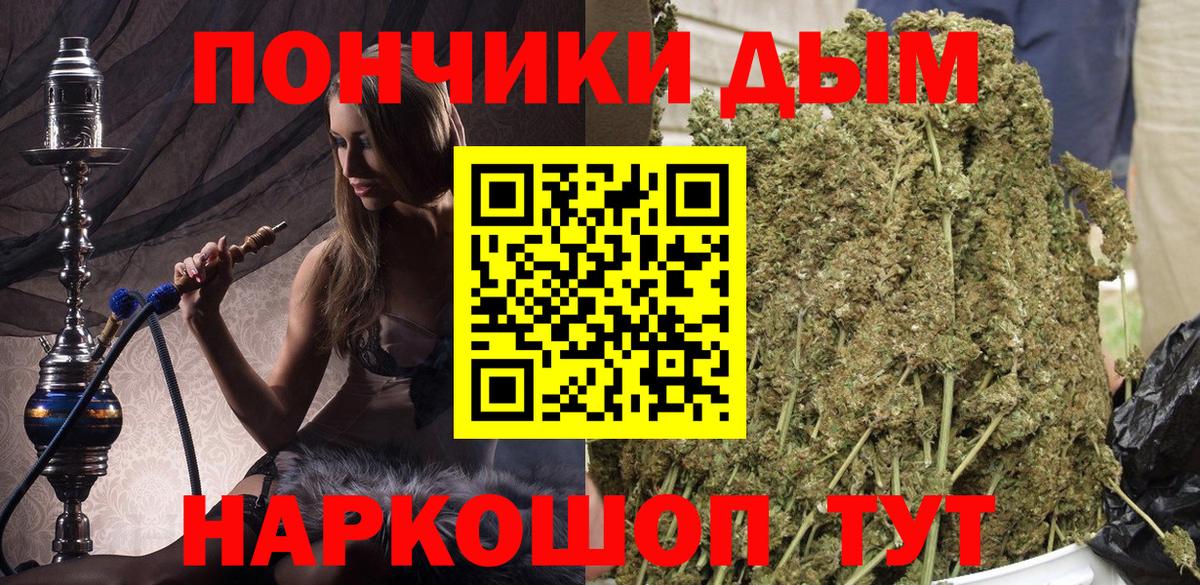Конопля сатива  Канабис OG Kush  Канабис планчик  Выборг 